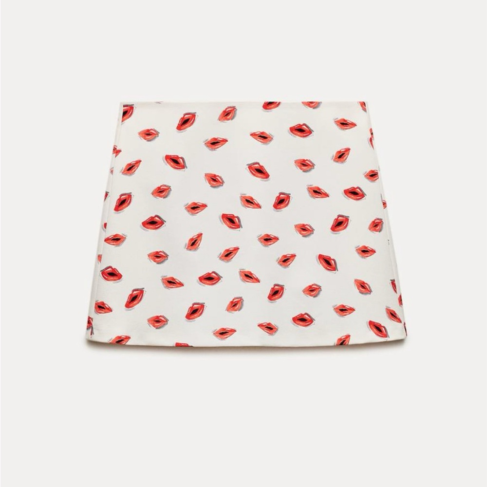 NWT Zara lip skirt. Size L.